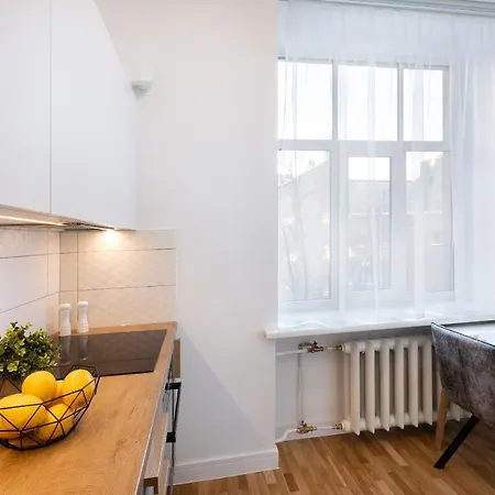 Brivibas House Design In City Center 3* Riga