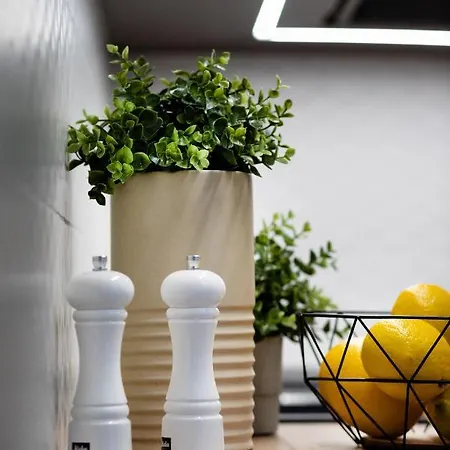 Brivibas House Design In City Center Рига