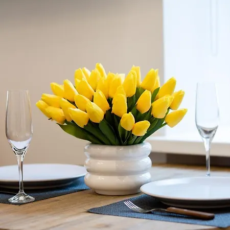 Brivibas House Design In City Center Рига