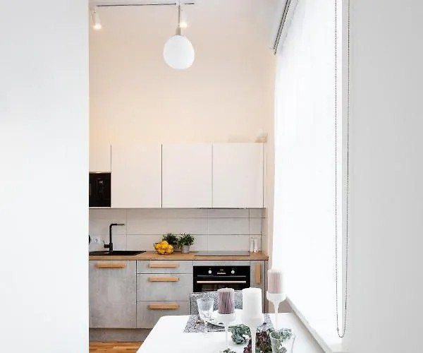 Brivibas House Design In City Center Ξενοδοχείο με διαμερίσματα Ρίγα