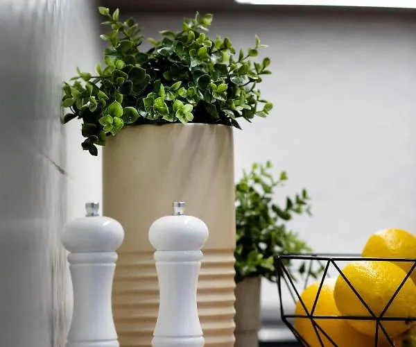 Brivibas House Design In City Center Ρίγα